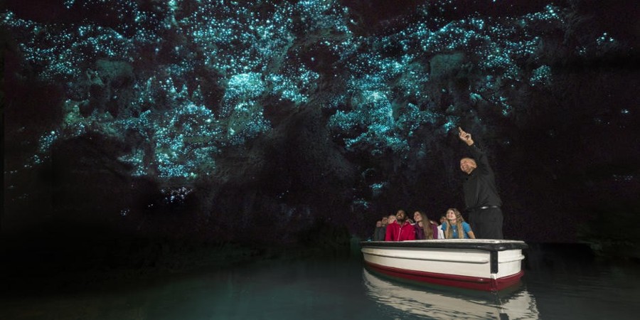 Waitomo Caves, Isola del Nord, Nuova Zelanda