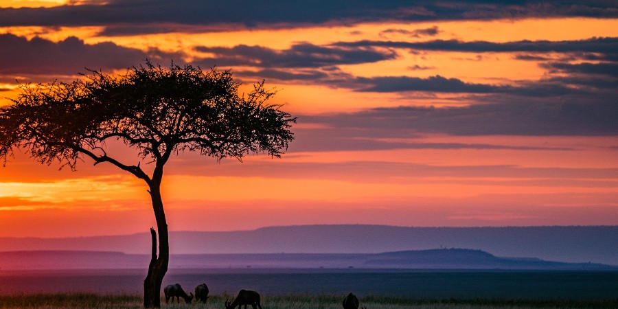 Sudafrica, tramonto africano