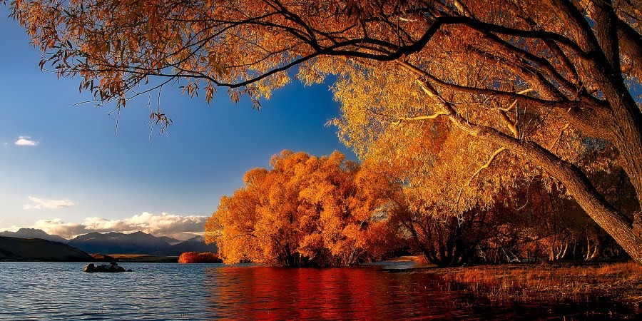 Lago Tekapo, Isola del Sud, Nuova Zelanda