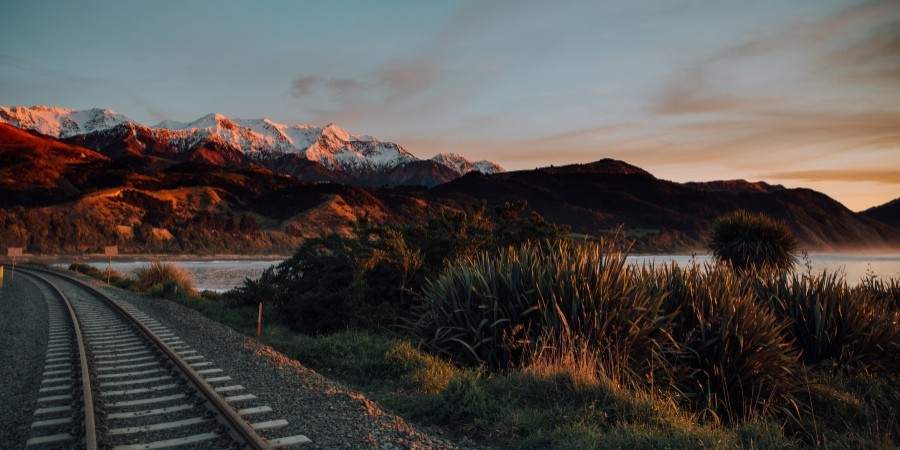 Kaikoura, Isola del Sud, Nuova Zelanda